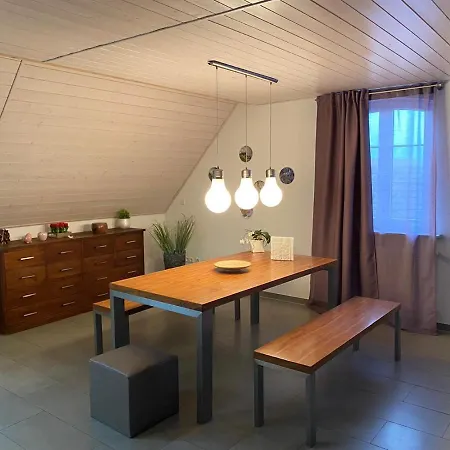 公寓 Ferienwohnung Sinsheim 辛斯海姆