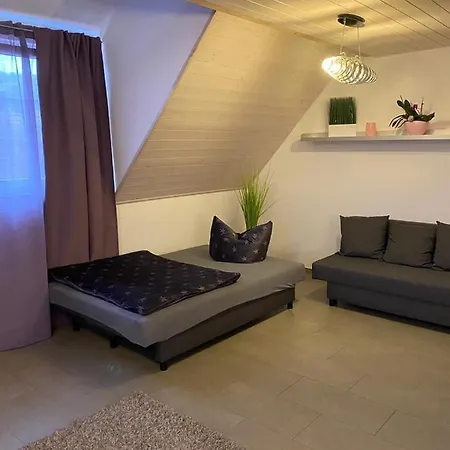 Ferienwohnung Sinsheim 公寓 *